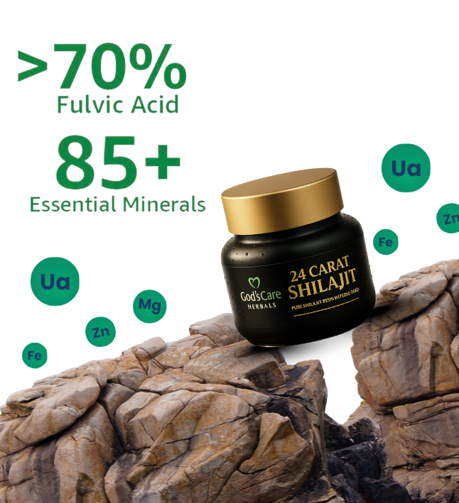 Shilajit Resin - Image 2