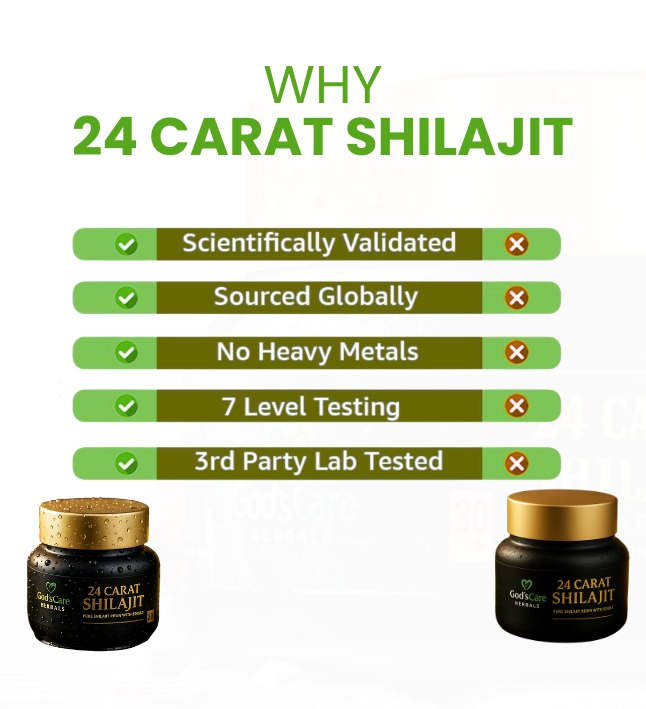 Shilajit Resin - Image 4