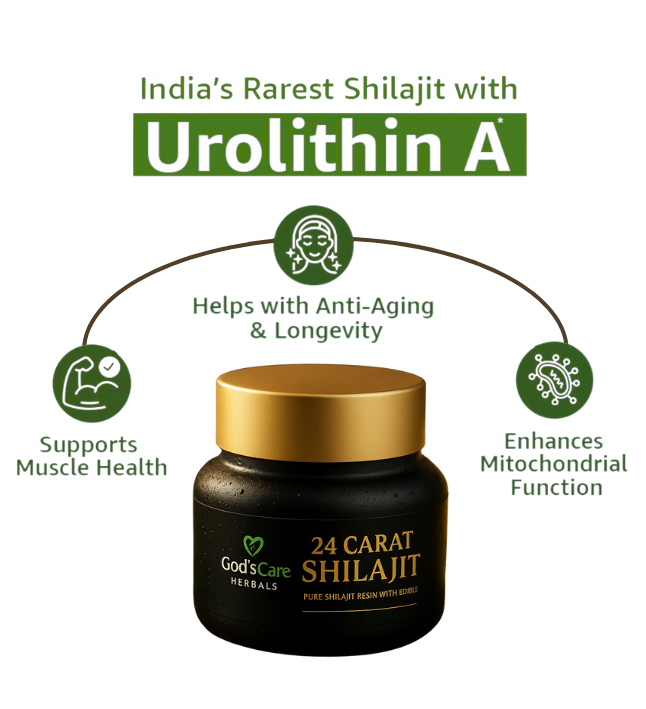 Shilajit Resin - Image 5