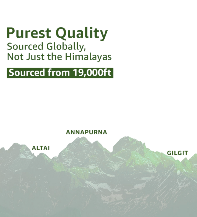 Shilajit Capsules - Image 9